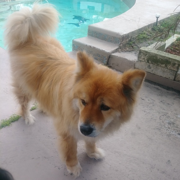 Meet your Posher, N L - Picture 4 of 8